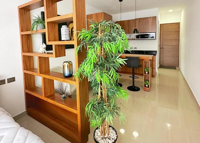 Departamento De Lujo Apartment Playa del Carmen